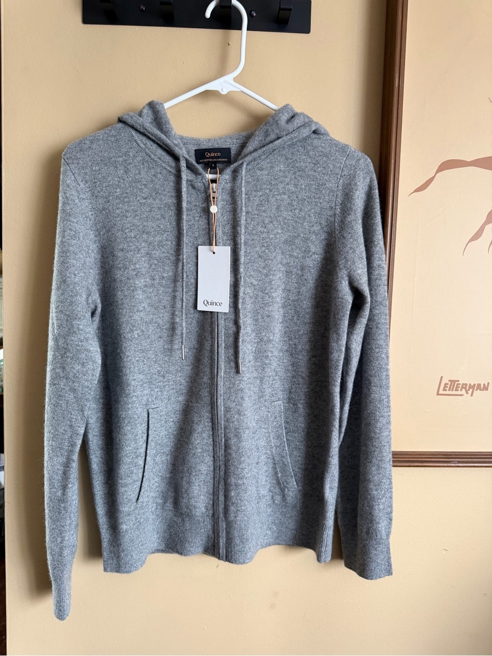 Quince Mongolian Cashmere Full-Zip Hoodie in heather grey in Small